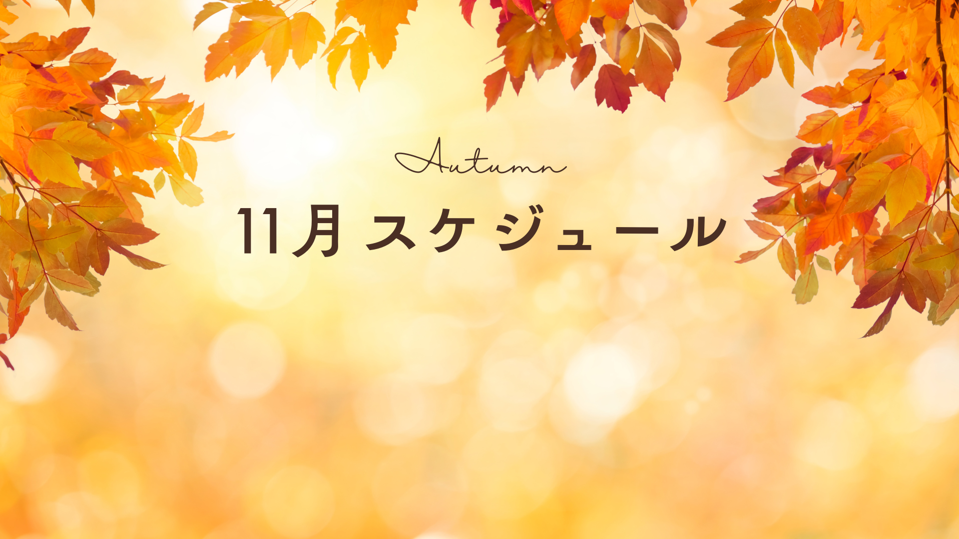 【📅11月のスケジュール公開のお知らせ】